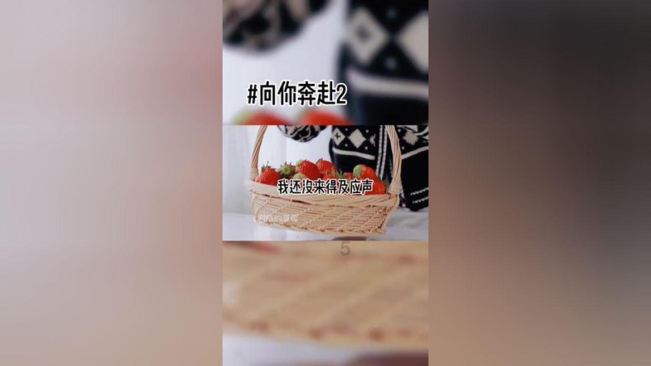 谁有雪沐灵狐《没有城堡的公主》最后三个付费章节的小说？