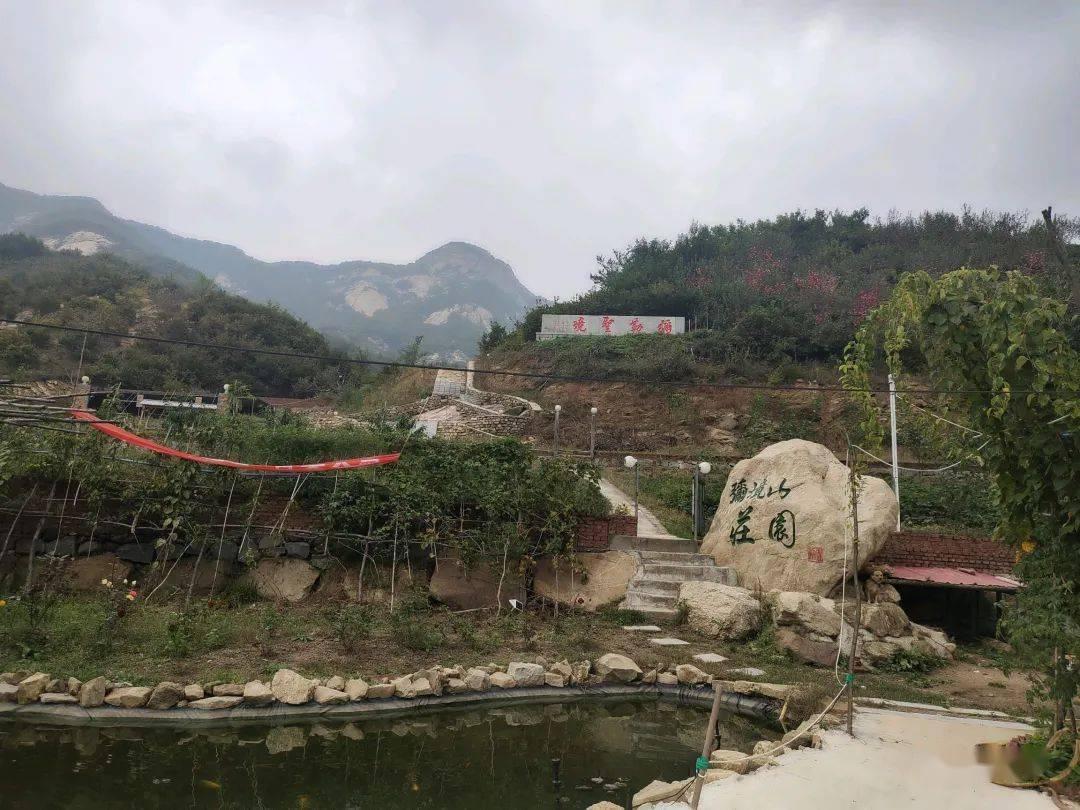 拯救精灵的土地7
